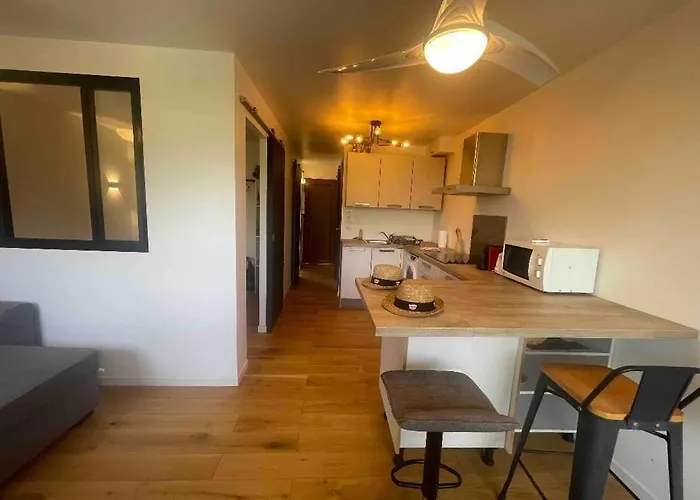 Avec Piscine Proche Apartment *